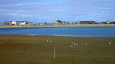 p2030802_thumb.jpg