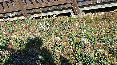 p2030806_thumb.jpg