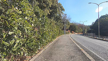gx010379.mp4_snapshot_00.00_thumb.jpg