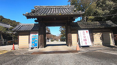 gx010388.mp4_snapshot_00.33_thumb.jpg