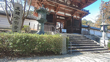 gx010390.mp4_snapshot_00.03_thumb.jpg