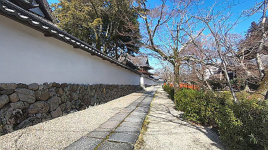 gx010390.mp4_snapshot_00.44_thumb.jpg