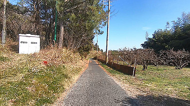 gx010393.mp4_snapshot_00.00_thumb.jpg