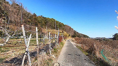 gx010393.mp4_snapshot_00.39_thumb.jpg