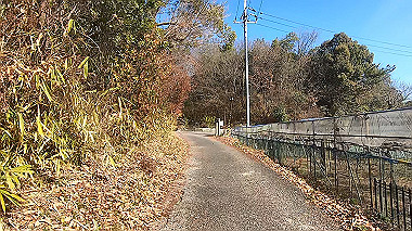 gx010394.mp4_snapshot_00.01_thumb.jpg