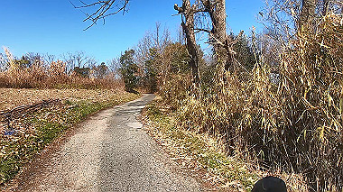 gx010394.mp4_snapshot_01.53_thumb.jpg