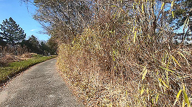 gx010394.mp4_snapshot_02.21_thumb.jpg