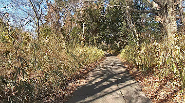 gx010394.mp4_snapshot_02.53_thumb.jpg