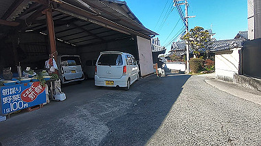 gx010395.mp4_snapshot_00.59_thumb.jpg