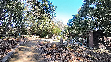 gx010397.mp4_snapshot_00.09_thumb.jpg