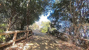 gx010397.mp4_snapshot_00.21_thumb.jpg