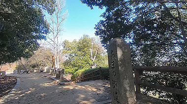 gx010397.mp4_snapshot_00.26_thumb.jpg