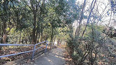 gx010397.mp4_snapshot_00.53_thumb.jpg