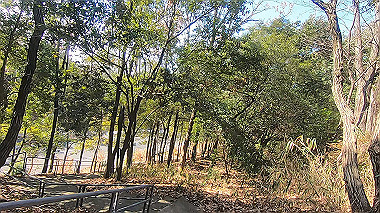 gx010397.mp4_snapshot_01.14_thumb.jpg