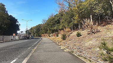 gx010397.mp4_snapshot_02.05_thumb.jpg