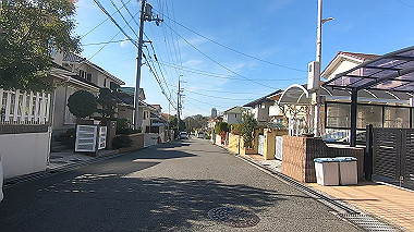 gx010398.mp4_snapshot_00.18_thumb.jpg