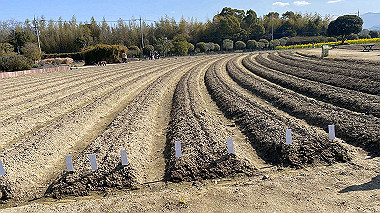 2024-02-13_12-28-11_457_thumb.jpg