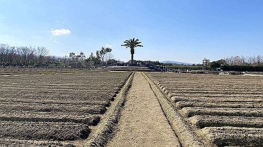 2024-02-13_12-28-58_796_thumb.jpg