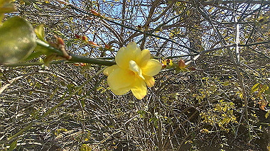 2024-02-13_13-09-37_576_thumb.jpg