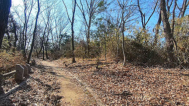 gx010399.mp4_snapshot_00.44_thumb.jpg