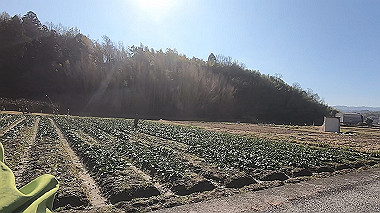 gx010405.mp4_snapshot_00.17_thumb.jpg