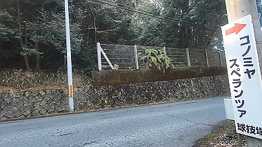 gx010406.mp4_snapshot_01.07_thumb.jpg