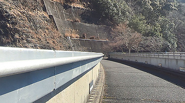 gx010416.mp4_snapshot_00.29_thumb.jpg
