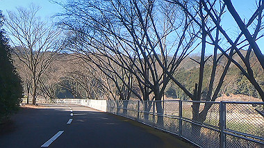 gx010417.mp4_snapshot_01.28_thumb.jpg