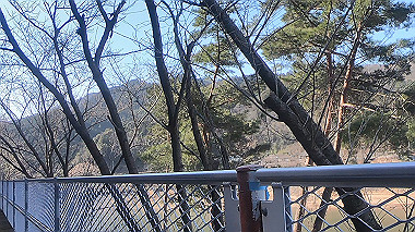 gx010417.mp4_snapshot_02.21_thumb.jpg