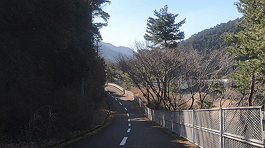gx010418.mp4_snapshot_00.44_thumb.jpg