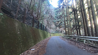 gx010423.mp4_snapshot_00.39_thumb.jpg