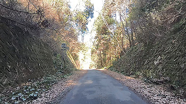 gx010423.mp4_snapshot_03.17_thumb.jpg