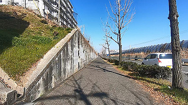 gx010437.mp4_snapshot_00.05_thumb.jpg