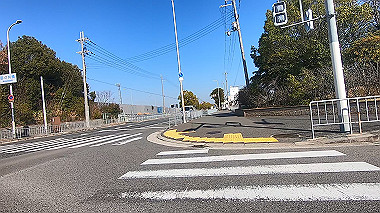 gx010438.mp4_snapshot_00.14_thumb.jpg