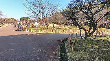 gx010440.mp4_snapshot_00.22_thumb.jpg
