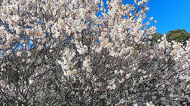 gx010444.mp4_snapshot_00.18_thumb.jpg