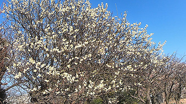 gx010445.mp4_snapshot_00.53_thumb.jpg