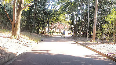 gx010448.mp4_snapshot_00.54_thumb.jpg