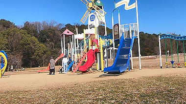 gx010449.mp4_snapshot_00.17_thumb.jpg