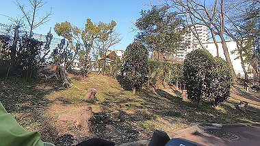 gx010451.mp4_snapshot_03.40_thumb.jpg
