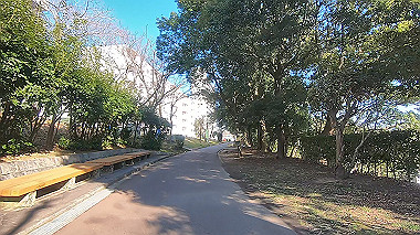 gx010452.mp4_snapshot_00.16_thumb.jpg