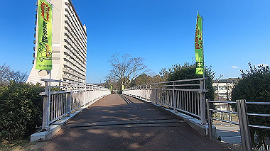 gx010452.mp4_snapshot_00.38_thumb.jpg