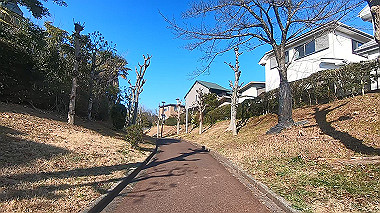 gx010453.mp4_snapshot_00.14_thumb.jpg