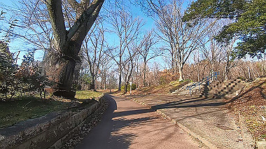gx010454.mp4_snapshot_00.07_thumb.jpg