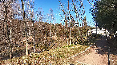 gx010454.mp4_snapshot_00.42_thumb.jpg