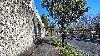 gx010454.mp4_snapshot_01.28_thumb.jpg