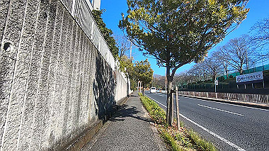 gx010454.mp4_snapshot_01.41_thumb.jpg