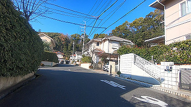 gx010454.mp4_snapshot_02.03_thumb.jpg