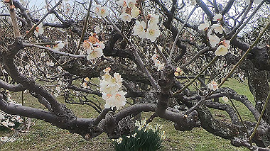 gx010479.mp4_snapshot_00.00_thumb.jpg