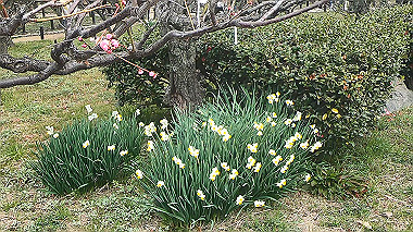 gx010480.mp4_snapshot_00.00_thumb.jpg